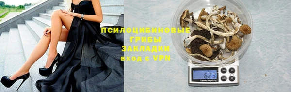 СК Алексин