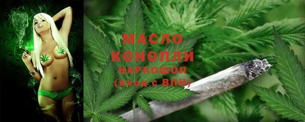 СК Алексин
