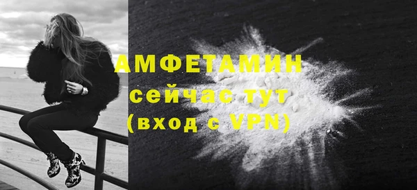 СК Алексин
