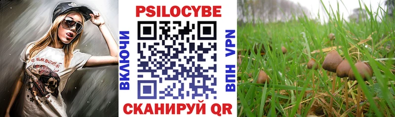 Псилоцибиновые грибы Psilocybine cubensis  Арсеньев 